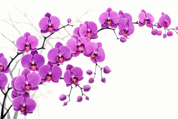Radiant Orchid in Asian Calligraphy, Calligraphy art style
