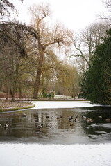 Vibrant and tranquil nature in Denmark