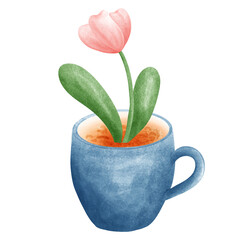 garden tulips