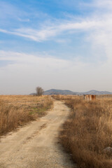 Obraz premium Scenery of a country road with old buildings 
