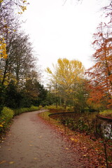 Vibrant nature in Denmark