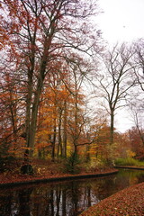 Vibrant nature in Denmark