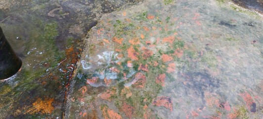 Wet dirty brick wall