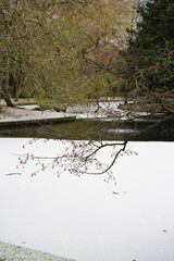 Vibrant nature in Denmark