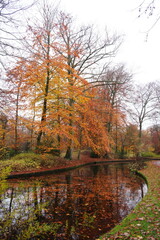 Vibrant nature in Denmark