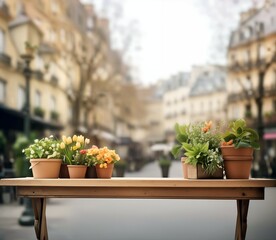 Beautiful blooms in rustic pots on a table with a sunny Paris street in soft focus, evoking a serene, inviting mood