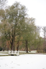 A picture clicked in Copenhagen
