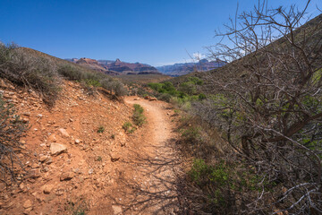 hiking the tonto trail in the grand canyon national park, arizona, usa