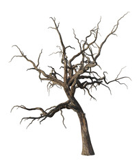 Albero con e senza foglie bianche, arancioni, verdi, gialle, rosse fondo trasparente e isolato inverno con  e senza neve	
