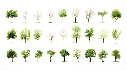 Fotobehang Set of green trees isolated on white background © Dionysus