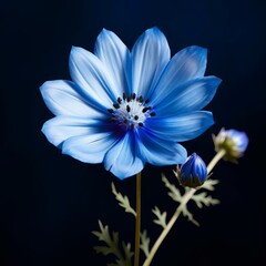 flower daisy blue flax flora blossom bloom petal nature garden floweret floret blue, Generative AI