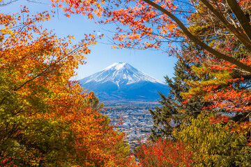 Mount Fuji framed with red orange maple leaves beautifully in autumn.