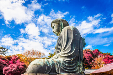 Daibutsu or Great Buddha of Kamakura in Kotokuin Temple at Kanagawa Prefecture Japan with leaves changing color It is an important landmark and a popular destination for tourists and pilgrims. - obrazy, fototapety, plakaty
