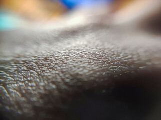  Close-up of healthy human skin texture in macro detail