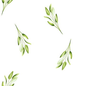 Watercolor seamless pattern illustration with fresh sage leaves isolated on white background. Detail of beauty products and botany set, cosmetology and medicine. For designers, spa decoration, pos