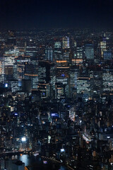 Fototapeta na wymiar 展望台から見た、大都会の夜景