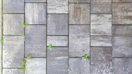  Neutral-toned stone paving surface of a road with cemented bricks. - 690959267