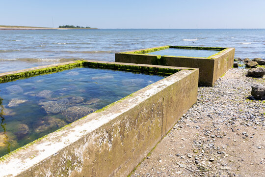 Een getijdenbak is een betonnen bak die zodanig is geplaatst dat het zeewater bij hoogwater in de bak stroomt en bij laagwater de bak droog valt. 