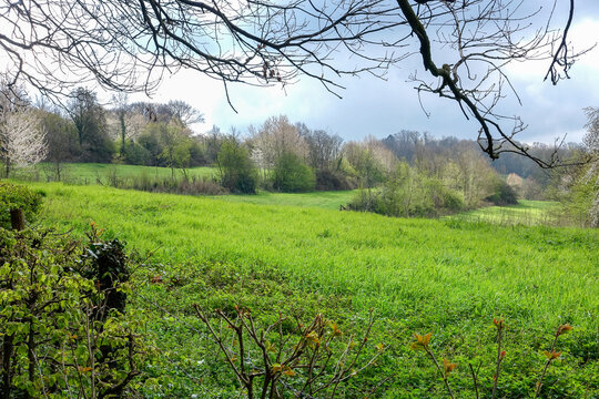 Uitzicht over het Zuid-Limburgs landschap van een grasland met voorjaarsbloesem van de bomen op een akker tijdens een wandeling in de omgeving van Slenaken.