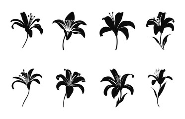 Lily Flower Silhouette Vector set, Lily Flowers silhouettes black Clipart Bundle - obrazy, fototapety, plakaty