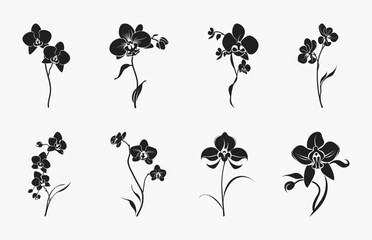 Orchid Flower Silhouette Vector set, Orchid Flowers black Clipart Silhouettes Bundle