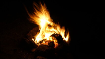 夜の焚火
