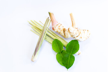resh galangal, kaffir lime leaves and lemongrass on a white background