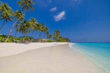 Amazing nature beach. Stunning sea coast palm trees sunny moody sky. Summer vacation travel holiday...