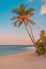 Beautiful tropical beach coast. White sand coco palms travel tourism. Amazing sunrise beach...