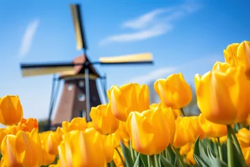 Fotobehang yellow tulips fields and windmill © id512
