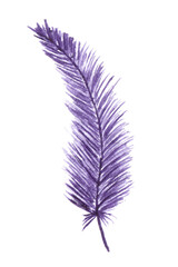 Isolated hand drawn watercolor soft  violet purple colored feather quill for easter party design element cards, invitation.Boho style