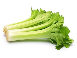 Stem celery isolated on white background