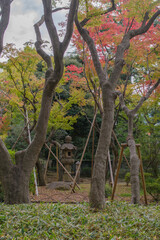 東京港区赤坂7丁目にある高橋是清翁公園の秋