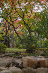 東京港区赤坂7丁目にある高橋是清翁公園の秋