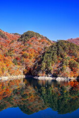 川俣湖の秋