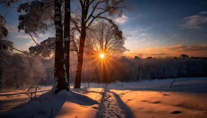 Fotobehang 夕日と雪景色の木々 © uumm
