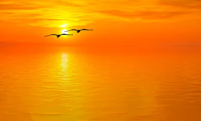  gaviotas en el mar con la puesta de sol  © kesipun
