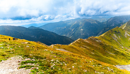 Fototapeta premium mountain view panorama landscape Poland Zakopane