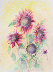 decorative sunflowers in autumn - 690984686