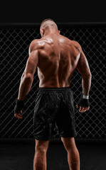 Conceptual image of a kickboxer. A real fighter stands in the real cage of the octagon. The concept of mixed martial arts, kickboxing, sports schools. Mixed media