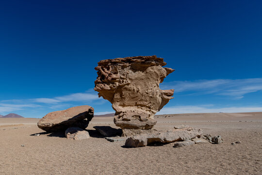 Stone tree in the bolivian altiplano