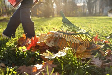Woman raking fall leaves in park, closeup