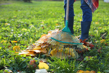 Woman raking fall leaves in park, closeup. Space for text