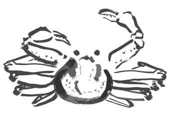ズワイガニ和風手描きイラスト（モノクロの墨絵）