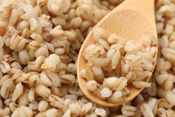 Delicious pearl barley and wooden spoon, closeup