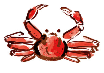 ズワイガニ和風手描きイラスト