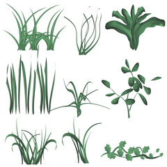 Green Grass and Bush Set Vector Set