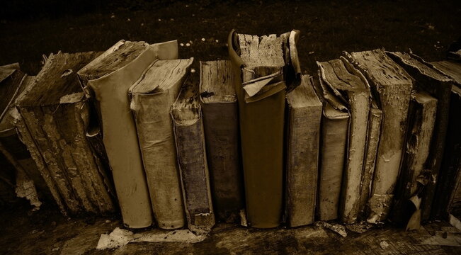 transience,old dirty books,verg&auml;nglichkeit