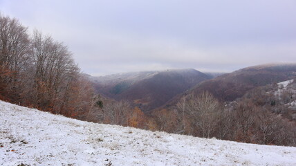snow covered mountains
