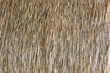 Close up of thatch roof.